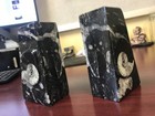 Nataloid And Orthceras Fossil Bookends Or Decor