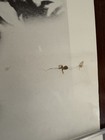 John Lennon And Yoko Ono - Two Virgins Original Album Poster