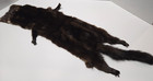 Vintage Genuine Dark Brown Mink Fur Pelt Hide Tail   Feet Taxidermy Craft Repair