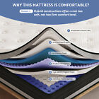 12  14 Inch Gel Memory Foam Hybrid Spring Queen Mattress Full King Size In A Box