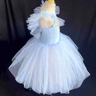 Long Ballet Dress Women Girls Ballerina Party Dress Ballet Dance Costumes