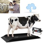 Livestock Alleyway Scale 96  X 30  Heavy-duty Cattle Scale 4000 Lb X 0 5 Lb