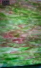 Multi- Color Streaky Opal Kokomo Stained Glass Sheets 11 By 8 Flat Rate Ship