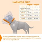 Focuspet Dog Cone Collar  Recovery Soft Cone Collar For After Surgery Xtra Large