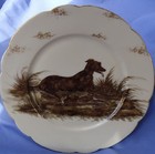 Irish Wolfhound Scottish Deerhound Lurcher Limoges J p  France Dog Plate Ooak