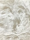Vintage Iron On Transfer Bears White For Dark Fabric 18  X 14  T-shirt