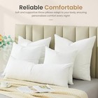  Euro Throw Pillow Inserts  16x16 Down Feather 16x16 Inch  pack Of 2  White
