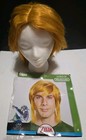Mens Adult Halloween Cosplay Costume Wig Legend Of Zelda Link  bb  Disguise 