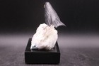 Peter Muller Hand Carved Obsidian Robin On Tourmaline Base