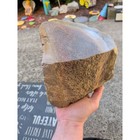 Gem Bone Xl Prehistoric Specimen  12lbs 14oz 
