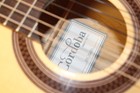 Cordoba Gk Studio Acoustic electric Guitar With Hard Case
