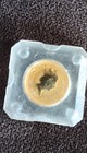 1990  15 Gold Australian Kangaroo Coin In Proof Condition  0 1 Oz 