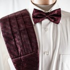 Burgundy Gray Geometric Woven Silk Men Cummerbund Bowtie Set