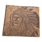 Antique Among The Rockies Book  Native American Indian Chief Red Cloud  1905