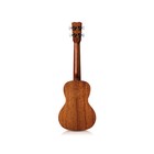 Cordoba 20cm Concert Ukulele Natural