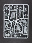Lord-veritant With Gryph-crow - Stormcast Eternals - Age Of Sigmar - Nos
