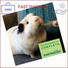 Oxbow Critical Care Herbivore  Emergency Guinea Pig Food  Rabbit Food For Recove