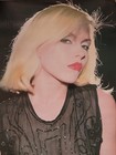 Blondie Debbie Harry Private Stock Records Promo Poster 17x28 Original Rare 1976