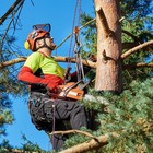 Arborist Rope Tree Climbing Rope 1 2 Inch X 100ft  48 Strands Bull Rope For C   