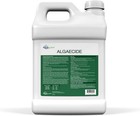 Aquascape Algaecide For Pond Waterfall   Water Features 2 5 Gallon 96053