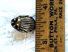 Realistic Black Glass Beetle Button  Gold Luster  Czech  Just Under 3 4 Inch 