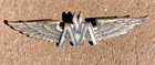 American Airlines Aa Flight Attendant Stewardess Wing Badge Pin