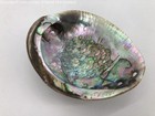 Natural Iridescent Green Pink Blue Abalone Shell 5 75  4 4 Oz  Nacre Ocean Sea