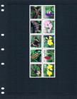  15 00 Scott Value - 2003 El Salvador Butterflies  hard To Find  Cv Mnh Nh Umm
