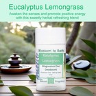 Eucalyptus Lemongrass Magnesium Zinc Deodorant  2 Pack - Natural Fragrances