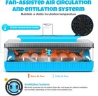 25 Egg Incubator Digital Poultry Hatcher Machine With Automatic Egg Turning  Inc