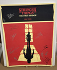 Stranger Things The First Shadow Signed Obc Broadway Poster Window Card