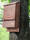 New Outdoor Bat House  All Natural Cedar Wood  2 Chamber House Garden Tree