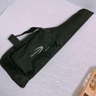 Traveler Guitar Ultra-light Travel Guitar