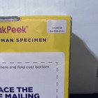 Myriad Sneak Peek Early Gender Test 99  Accurate Learn Gender At 6 Weeks New