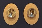 2 International Brotherhood Of Teamsters Pins Ibt Afl-cio 1  Union Made Usa