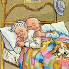 Completed Finished Cross Stitch Old Married Couple In Bed Man Woman Dog Cat Love