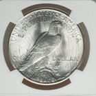 1923 S Peace Us Silver Dollar - 90  Silver Coin
