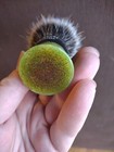 Vintage Restored Ever Ready Shave Brush Synthetic badger 50 50 Knot 26mm 