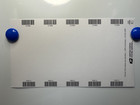 Us 2024 Floral Geometry 1 Dollar Stamp 50 Pack Sealed Blue Post Office Fresh
