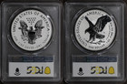 2021-w   S  pr70  Reverse Proof Silver Eagle Designer 2 Coin Set Pcgs Type 1   2