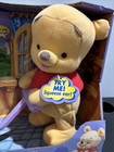 Fisher-price Pop Along Baby Winnie The Pooh Toy 2005 Plush Walking Disney New