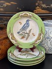 Set Four Rare Designer Wl Chinoiserie Green Parrot Bird Botanical Plate 10 25   