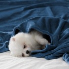Fleece Blanket Queen Size Super Soft Flannel Throw Blanket Lightweight Fuzzy    