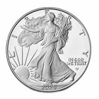 2025 1 Oz American Silver Eagle Coin