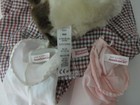 American Girl Samantha Parkington Pleasant Checked Taffeta Dress For 18  Doll