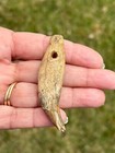 Rare Micmac Artifact Pendant  Fort O   brien machias  maine  Pa ny nj ct ma