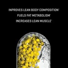 Performix Time-release Sport Cla - Increase Lean Muscle   Burn Fat - 90 Capsules