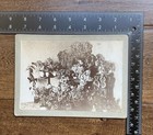 Funeral Plants 1898 Antique Vintage Photo Flowers   Plants For A Dr  Burnham