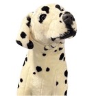 Giant Dalmatian Lifelike Stuffed Animal Dog  over 2 Feet Tall  Melissa   Doug