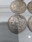 Morgan Silver Dollar   random Year  - Total 37 Coins 